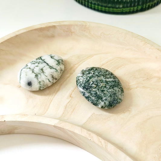 Tree Agate Palm Stone
