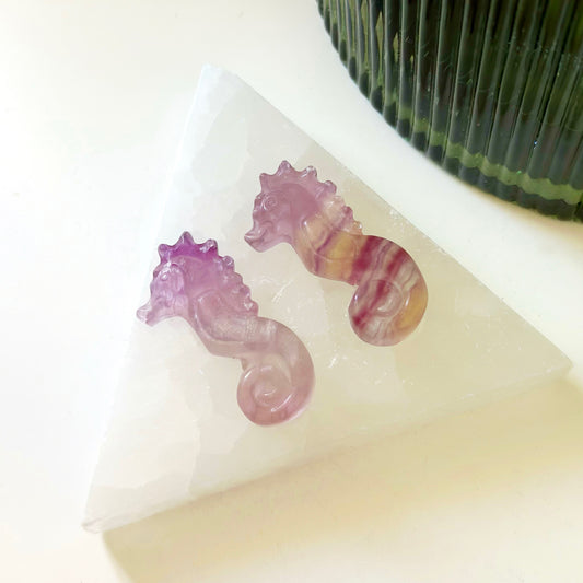 Fluorite Mini Seahorse Carving