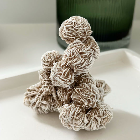 Desert Rose