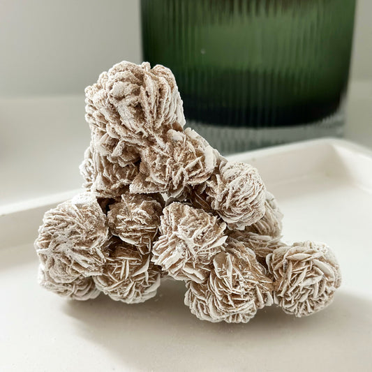 Desert Rose